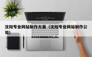 巴音郭楞蒙古沈阳专业网站制作方案（沈阳专业网站制作公司）